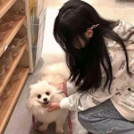 夏季运动会英雄免付费解锁版下载